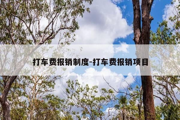 打车费报销制度-打车费报销项目-第1张图片-优惠活动网 打车费报销制度-打车费报销项目-第1张图片-优惠活动网