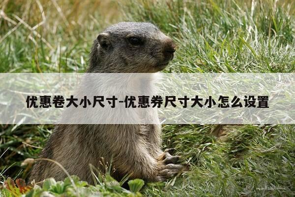 优惠卷大小尺寸-优惠券尺寸大小怎么设置-第1张图片-优惠活动网 优惠卷大小尺寸-优惠券尺寸大小怎么设置-第1张图片-优惠活动网