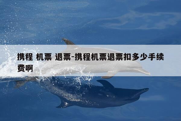 携程 机票 退票-携程机票退票扣多少手续费啊-第1张图片-优惠活动网 携程 机票 退票-携程机票退票扣多少手续费啊-第1张图片-优惠活动网