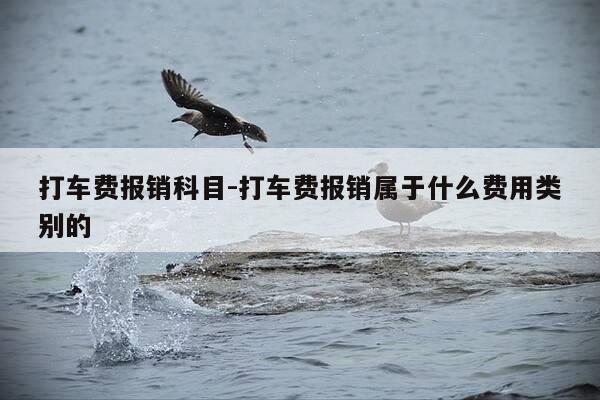 打车费报销科目-打车费报销属于什么费用类别的-第1张图片-优惠活动网 打车费报销科目-打车费报销属于什么费用类别的-第1张图片-优惠活动网