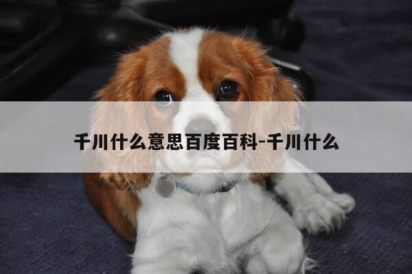 千川什么意思百度百科-千川什么-第1张图片-优惠活动网 千川什么意思百度百科-千川什么-第1张图片-优惠活动网