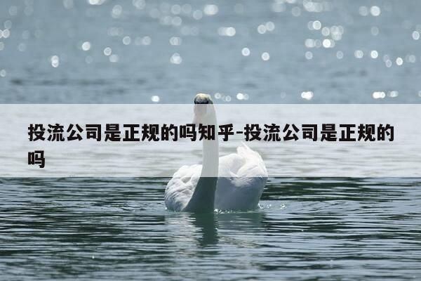 投流公司是正规的吗知乎-投流公司是正规的吗-第1张图片-优惠活动网 投流公司是正规的吗知乎-投流公司是正规的吗-第1张图片-优惠活动网