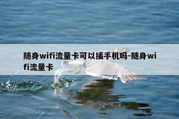 随身wifi流量卡可以插手机吗-随身wifi流量卡-第1张图片-优惠活动网 随身wifi流量卡可以插手机吗-随身wifi流量卡-第1张图片-优惠活动网