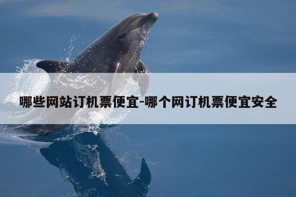 哪些网站订机票便宜-哪个网订机票便宜安全-第1张图片-优惠活动网 哪些网站订机票便宜-哪个网订机票便宜安全-第1张图片-优惠活动网