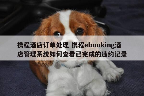 携程酒店订单处理-携程ebooking酒店管理系统如何查看已完成的违约记录-第1张图片-优惠活动网