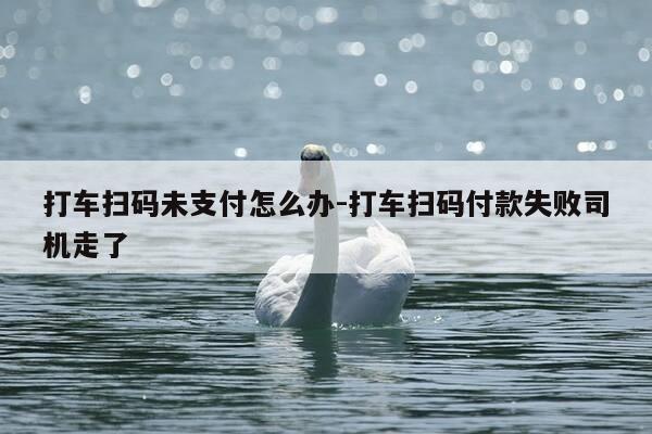 打车扫码未支付怎么办-打车扫码付款失败司机走了-第1张图片-优惠活动网 打车扫码未支付怎么办-打车扫码付款失败司机走了-第1张图片-优惠活动网