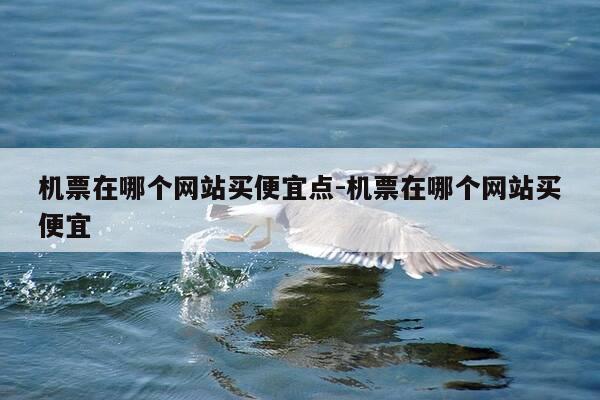 机票在哪个网站买便宜点-机票在哪个网站买便宜-第1张图片-优惠活动网 机票在哪个网站买便宜点-机票在哪个网站买便宜-第1张图片-优惠活动网