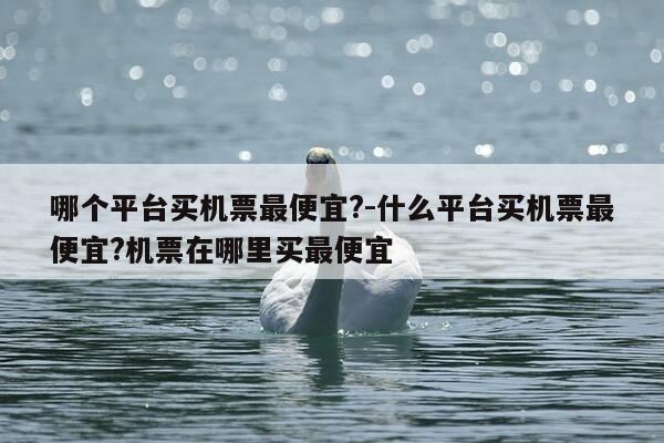 哪个平台买机票最便宜?-什么平台买机票最便宜?机票在哪里买最便宜-第1张图片-优惠活动网