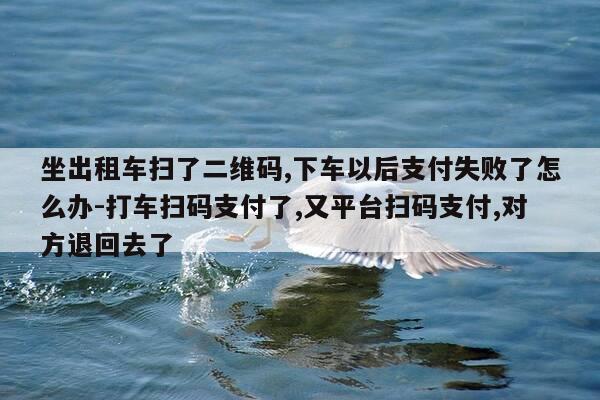 坐出租车扫了二维码,下车以后支付失败了怎么办-打车扫码支付了,又平台扫码支付,对方退回去了-第1张图片-优惠活动网 坐出租车扫了二维码,下车以后支付失败了怎么办-打车扫码支付了,又平台扫码支付,对方退回去了-第1张图片-优惠活动网