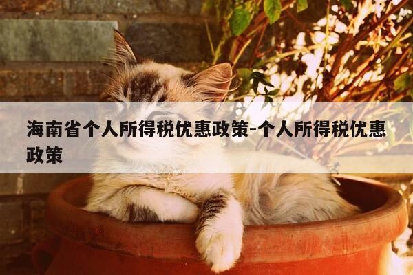 海南省个人所得税优惠政策-个人所得税优惠政策-第1张图片-优惠活动网