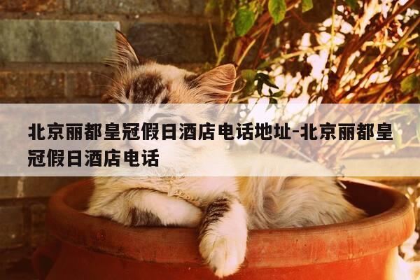 北京丽都皇冠假日酒店电话地址-北京丽都皇冠假日酒店电话-第1张图片-优惠活动网 北京丽都皇冠假日酒店电话地址-北京丽都皇冠假日酒店电话-第1张图片-优惠活动网