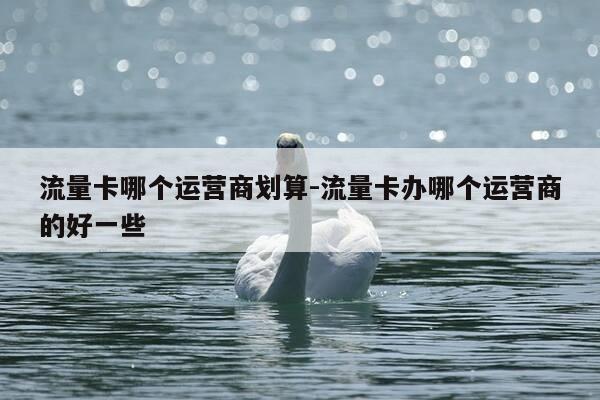 流量卡哪个运营商划算-流量卡办哪个运营商的好一些-第1张图片-优惠活动网 流量卡哪个运营商划算-流量卡办哪个运营商的好一些-第1张图片-优惠活动网