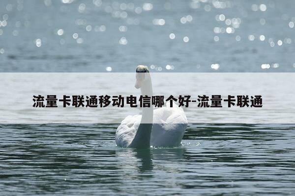 流量卡联通移动电信哪个好-流量卡联通-第1张图片-优惠活动网 流量卡联通移动电信哪个好-流量卡联通-第1张图片-优惠活动网
