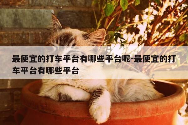 最便宜的打车平台有哪些平台呢-最便宜的打车平台有哪些平台-第1张图片-优惠活动网