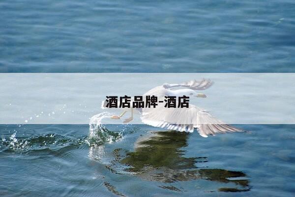 酒店品牌-酒店-第1张图片-优惠活动网