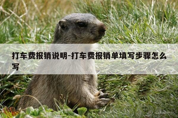 打车费报销说明-打车费报销单填写步骤怎么写-第1张图片-优惠活动网