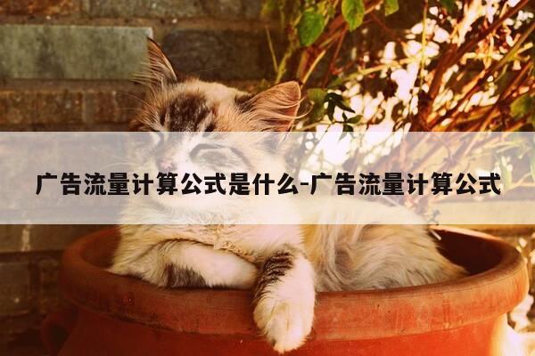 广告流量计算公式是什么-广告流量计算公式-第1张图片-优惠活动网