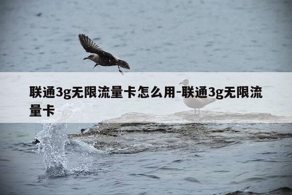 联通3g无限流量卡怎么用-联通3g无限流量卡-第1张图片-优惠活动网 联通3g无限流量卡怎么用-联通3g无限流量卡-第1张图片-优惠活动网