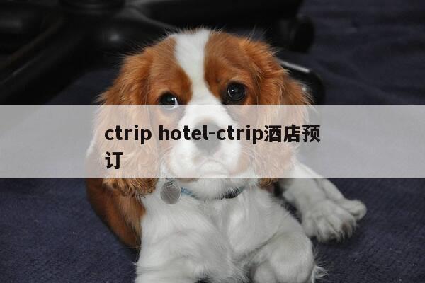 ctrip hotel-ctrip酒店预订-第1张图片-优惠活动网