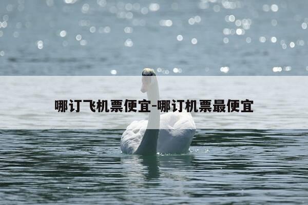 哪订飞机票便宜-哪订机票最便宜-第1张图片-优惠活动网