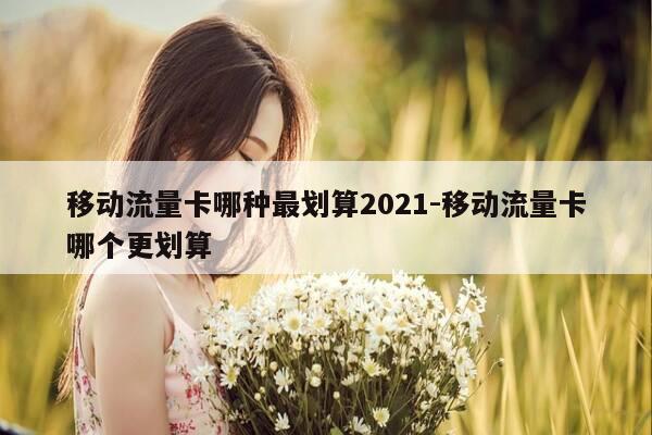 移动流量卡哪种最划算2021-移动流量卡哪个更划算-第1张图片-优惠活动网