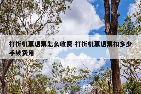 打折机票退票怎么收费-打折机票退票扣多少手续费用-第1张图片-优惠活动网