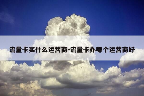 流量卡买什么运营商-流量卡办哪个运营商好-第1张图片-优惠活动网