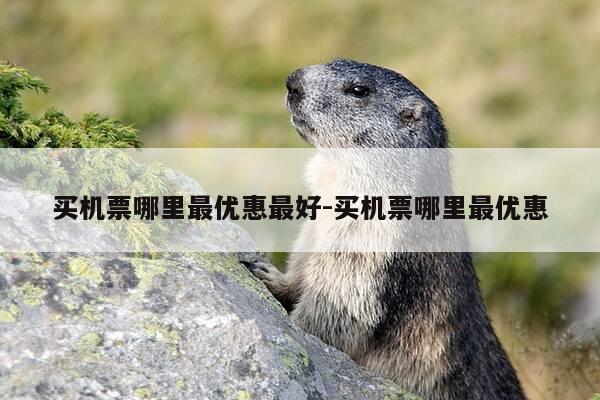 买机票哪里最优惠最好-买机票哪里最优惠-第1张图片-优惠活动网