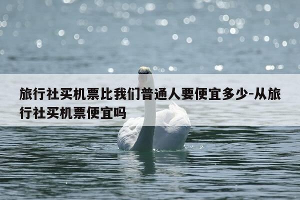 旅行社买机票比我们普通人要便宜多少-从旅行社买机票便宜吗-第1张图片-优惠活动网