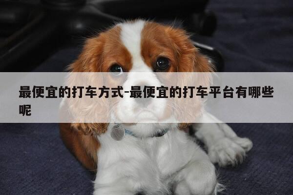 最便宜的打车方式-最便宜的打车平台有哪些呢-第1张图片-优惠活动网 最便宜的打车方式-最便宜的打车平台有哪些呢-第1张图片-优惠活动网