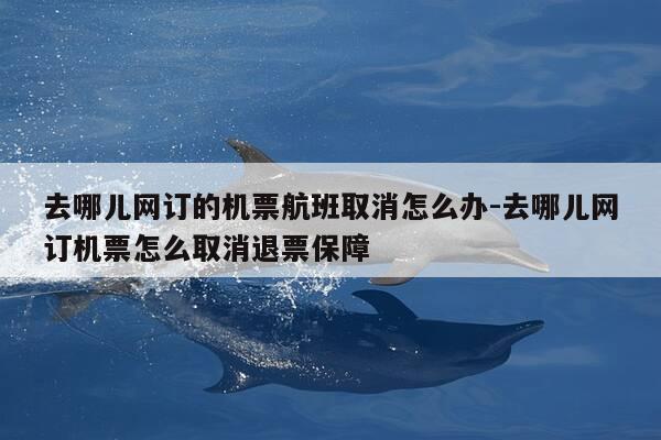 去哪儿网订的机票航班取消怎么办-去哪儿网订机票怎么取消退票保障-第1张图片-优惠活动网 去哪儿网订的机票航班取消怎么办-去哪儿网订机票怎么取消退票保障-第1张图片-优惠活动网