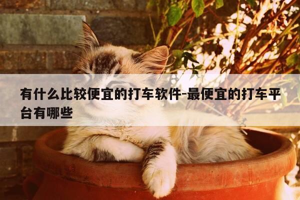 有什么比较便宜的打车软件-最便宜的打车平台有哪些-第1张图片-优惠活动网 有什么比较便宜的打车软件-最便宜的打车平台有哪些-第1张图片-优惠活动网