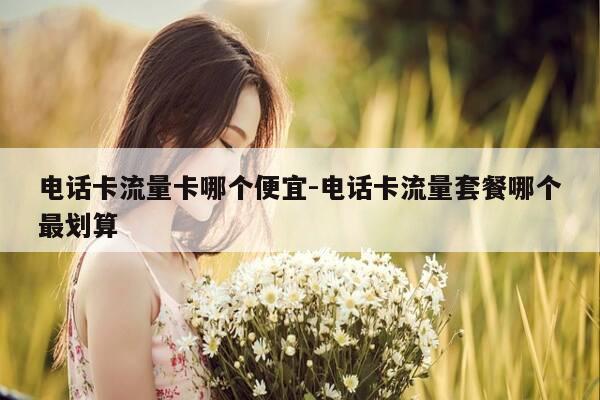 电话卡流量卡哪个便宜-电话卡流量套餐哪个最划算-第1张图片-优惠活动网