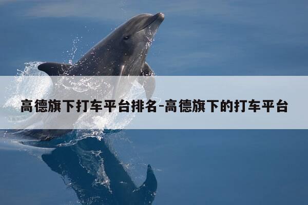 高德旗下打车平台排名-高德旗下的打车平台-第1张图片-优惠活动网