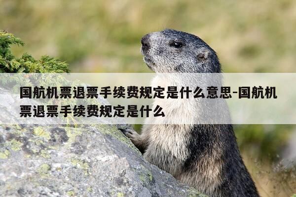 国航机票退票手续费规定是什么意思-国航机票退票手续费规定是什么-第1张图片-优惠活动网