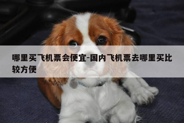 哪里买飞机票会便宜-国内飞机票去哪里买比较方便-第1张图片-优惠活动网 哪里买飞机票会便宜-国内飞机票去哪里买比较方便-第1张图片-优惠活动网
