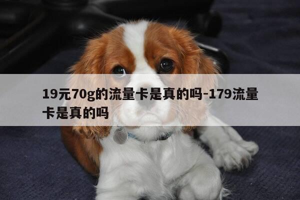 19元70g的流量卡是真的吗-179流量卡是真的吗-第1张图片-优惠活动网 19元70g的流量卡是真的吗-179流量卡是真的吗-第1张图片-优惠活动网