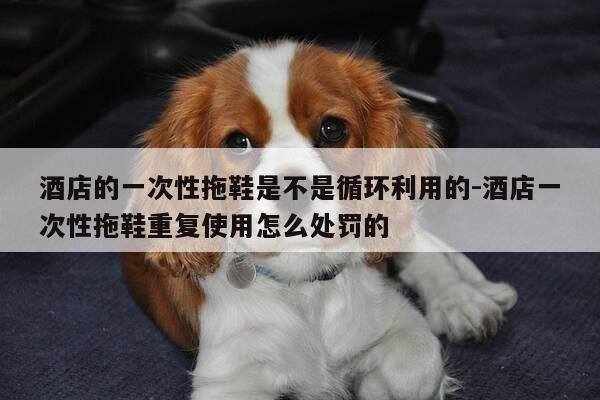 酒店的一次性拖鞋是不是循环利用的-酒店一次性拖鞋重复使用怎么处罚的-第1张图片-优惠活动网