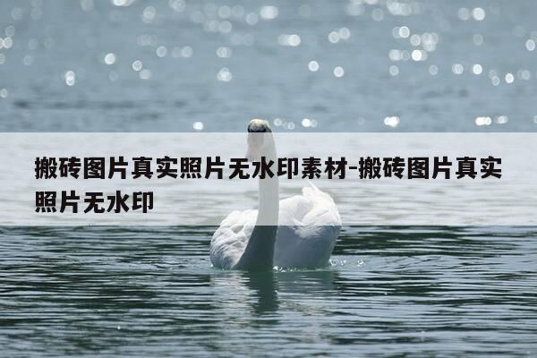 搬砖图片真实照片无水印素材-搬砖图片真实照片无水印-第1张图片-优惠活动网 搬砖图片真实照片无水印素材-搬砖图片真实照片无水印-第1张图片-优惠活动网