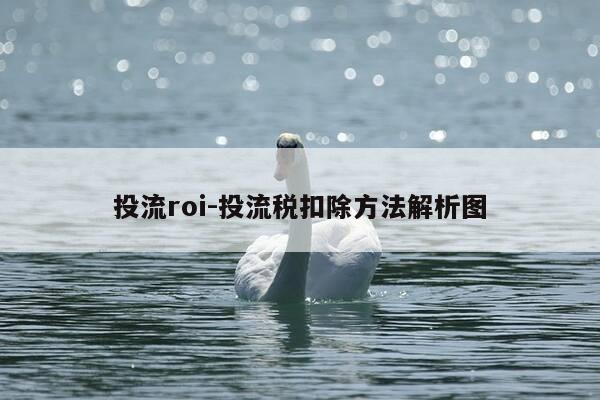 投流roi-投流税扣除方法解析图-第1张图片-优惠活动网 投流roi-投流税扣除方法解析图-第1张图片-优惠活动网