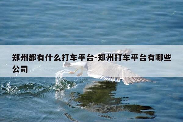郑州都有什么打车平台-郑州打车平台有哪些公司-第1张图片-优惠活动网
