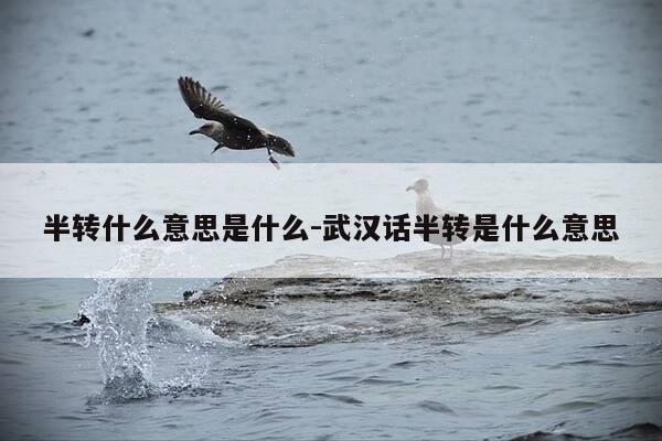半转什么意思是什么-武汉话半转是什么意思-第1张图片-优惠活动网