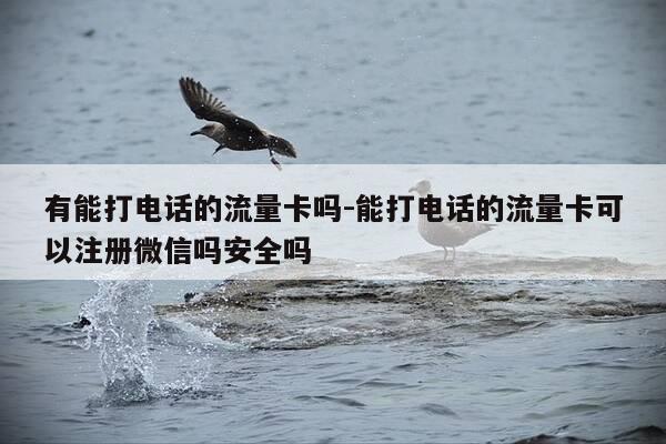 有能打电话的流量卡吗-能打电话的流量卡可以注册微信吗安全吗-第1张图片-优惠活动网