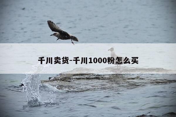 千川卖货-千川1000粉怎么买-第1张图片-优惠活动网 千川卖货-千川1000粉怎么买-第1张图片-优惠活动网