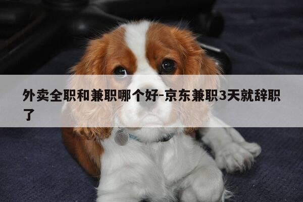 外卖全职和兼职哪个好-京东兼职3天就辞职了-第1张图片-优惠活动网