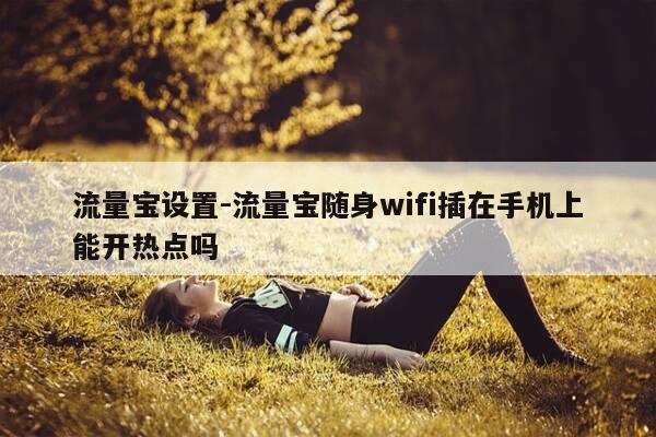 流量宝设置-流量宝随身wifi插在手机上能开热点吗-第1张图片-优惠活动网