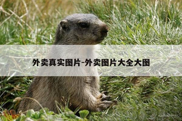 外卖真实图片-外卖图片大全大图-第1张图片-优惠活动网