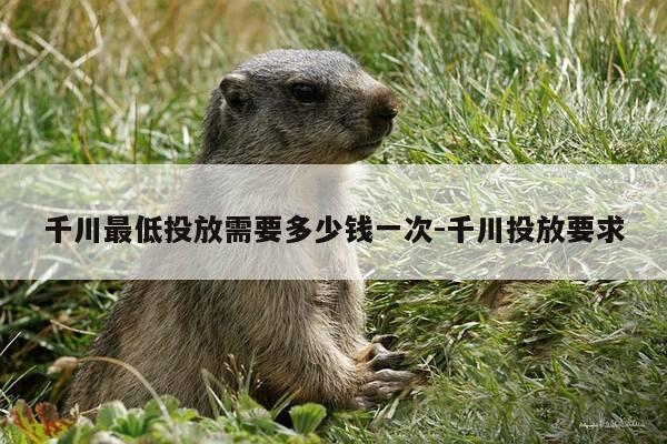 千川最低投放需要多少钱一次-千川投放要求-第1张图片-优惠活动网
