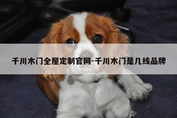 千川木门全屋定制官网-千川木门是几线品牌-第1张图片-优惠活动网