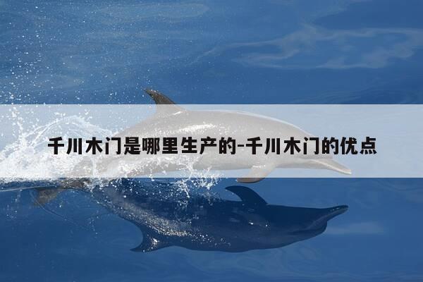 千川木门是哪里生产的-千川木门的优点-第1张图片-优惠活动网